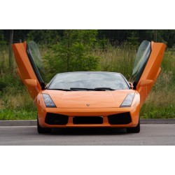 LSD Doors για Lamborghini Gallardo Spyder